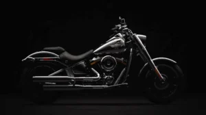 HarleyDavidsonFatBoy