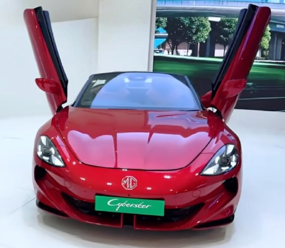 MGCybersterIndia
