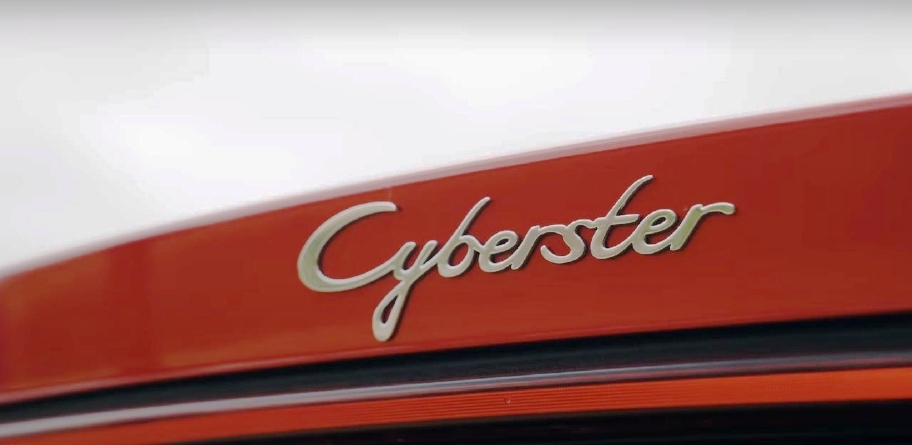 MGCybersterIndia